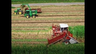 Louisiana Sugarcane planting 2018 4K Drone Video [upl. by Ehsiom]