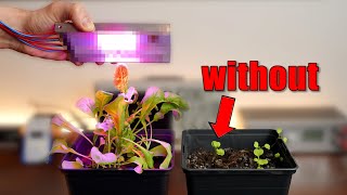 quotMagicalquot LEDs let my plants grow faster Experiment The Future of Farming [upl. by Odette]