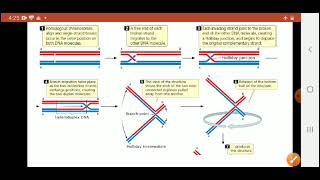 Theories or models of Crossing Over [upl. by Philipp]