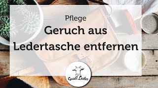 Hilfe meine Ledertasche riecht zu stark  Ledergeruch vermindern  Lifehack [upl. by Juliane]