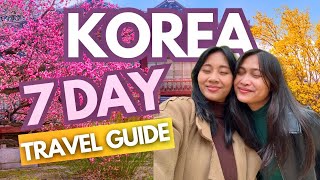 Korea 2024 Travel Guide Best Places to Visit amp Things to Do • Itinerary amp Expenses • Budget Vlog [upl. by Notsyrb778]