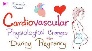 Cardiovascular Physiological Changes During Pregnancy [upl. by Dlawso]