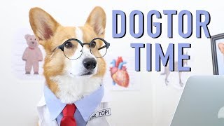 CUTEST DOCTOR  Topi the Corgi [upl. by Tati]