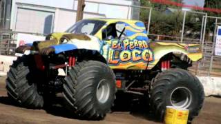 El Perro Loco Theme Song [upl. by Henarat533]