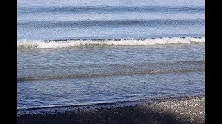 Qualicum Beach Park [upl. by Rayford206]