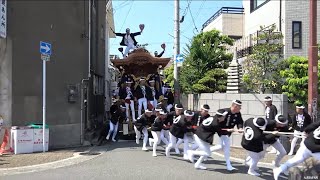 令和6年 岸和田だんじり祭 試験曳き 疎開道 Kishiwada Danjiri Matsuri20240908 [upl. by Brandon]