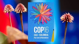 Abre la COP 16 sobre biodiversidad en Colombia [upl. by Farley558]