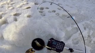 Ice Fishing Lake Winnebago 2122 NEW CUSTOM BAITS [upl. by Newberry646]