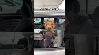 Service Dog Day In the Life vlog college [upl. by Orly660]