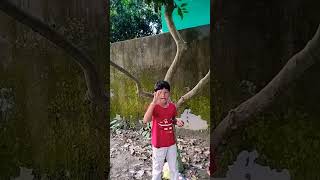 Kabutar ud raha hai funny 🤣🤣 comedy funny fun [upl. by Ocisnarf]