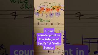 Magnificent polyphony in Bach bach violin polyphony analysis musictheory jsb partita shorts [upl. by Becky]