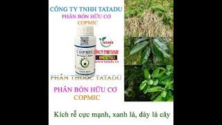 COPMIC – PHÂN BÓN HỮU CƠ SINH HỌC TĂNG ĐẬU TRÁI0776755793tataduvn dàylá [upl. by Ez]