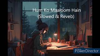 Hum ko Maaloom Hain  Slowed amp Reverb [upl. by Harle]