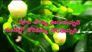 koyilamma paaduthunnadhi telugu song karaoke with lyrics  Vamsi movie [upl. by Nelyahs425]