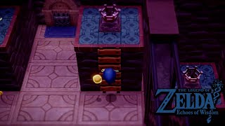 How To Light The 4 Torches  Hyrule Castle Still World  Zelda Echoes of Wisdom [upl. by Doerrer331]