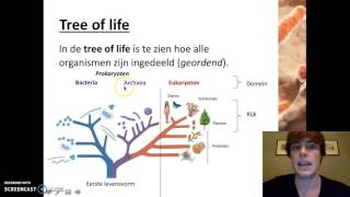 Ordening  Het indelen van organismen [upl. by Sacci]