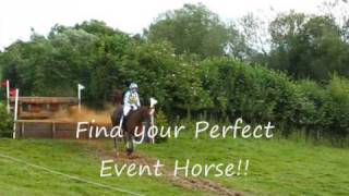 Horses for Sale UK [upl. by Wolk]