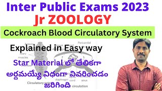 Blood Circulatory System of Periplanata Explained in Easy Way  Cockroach Blood Circulation [upl. by Ahsart]