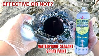 Effective or Not  Waterproof Sealant Spray Paint for Leaking RoofPipes  Review [upl. by Vilberg700]