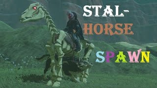 StalHorse Joyride Around Undead Forest BotW [upl. by Hu]