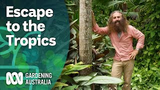 Escape To The Tropics  Discovery  Gardening Australia [upl. by Hcirdeirf]