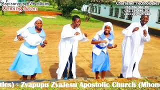 Best dances ever 2018 NdiMwari Vanotichengeta by Mhondoro Apostles ZZAC [upl. by O'Malley127]