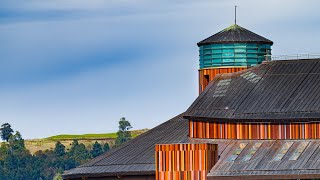 Frutillar Bajo  Mavic Mini 🛸naturalpanoramic [upl. by Ecnarepmet]