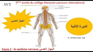 3 AC BiofSystème nerveuxLa sensibilité consciente الحساسية الشعورية [upl. by Ojaras]