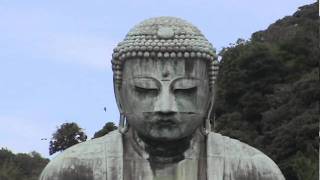 Japans Great Buddha of Kamakura  Kotokuin Daibutsu 高徳院大仏  Japan As It Truly Is [upl. by Branham]