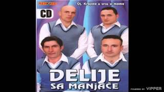 Delije sa Manjace  Poletio sivi soko  Audio 2011 [upl. by Ahseneuq]