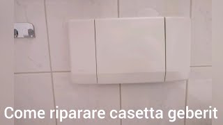 Come riparare cassetta geberit cambio carico acqua [upl. by Adav44]