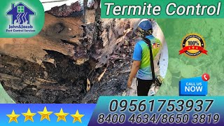 Termite Control Quezon City MM  Call 📞 09561753937 [upl. by Tuckie]