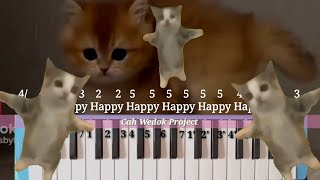 Happy Happy Happy Cat song meme [upl. by Gutow]