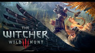 The Witcher 3 Wild Hunt GTX 1050 Ti  i3 10100f 1366x768 Ultra [upl. by Anialed288]