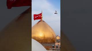 Mere Nana ne kalma sikhaya yahussain as yaabbas as karbalastatus trendingshorts viralshort [upl. by Luane376]