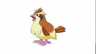 Pokemon Cries  Pidgey  Pidgeotto  Pidgeot [upl. by Akehsal]