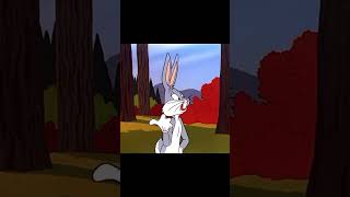 Classic Looney Tunes The Ultimate Comedy Gold [upl. by Bish]