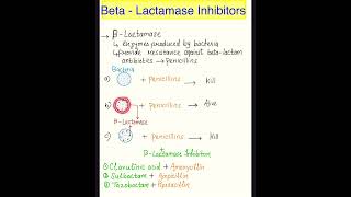 amoxycillin and potassium clavulanate tabletspharmacy pharma bacteria amoxycillin antibiotics [upl. by Lindon]