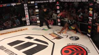 Melvin Manhoef vs Cyborg 2 27 april 2014 [upl. by Hamburger]