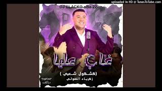 Zakaria Ghafouli  Ghab 3lia Music mix [upl. by Schweitzer]