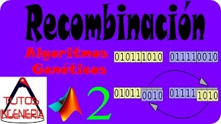 🔬 Recombinación implementado en Matlab [upl. by Bunker]