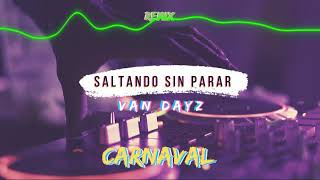 SALTANDO SIN PARAR ✘ CARNAVAL REMIX ✘ VAN DAYZ [upl. by Alysoun678]