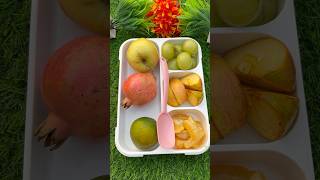 LUNCH Box ideas frooti chocolate lunchboxideas youtubeshorts trendingshorts viral short [upl. by Drugge]