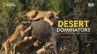 Desert Dominators  Shadow Cats  हिन्दी  Full Episode  S1  E1  National Geographic [upl. by Castro]