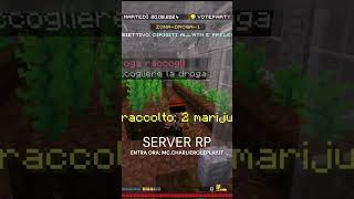 Nuovo sistema raccolta droga minecraftita minecraft perte minecraftitalia minecraftserver [upl. by Aicenat]