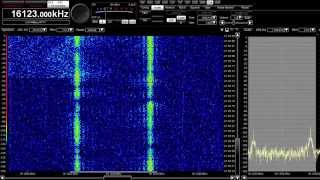 10153 kHz RTTY Mystery Solved [upl. by Lattonia]