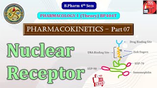 Nuclear Receptor  Pharmacodynamics Part 07  B Pharma 4th Sem Pharmacology [upl. by Armin504]