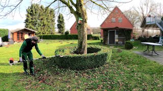 Kustorez Pruning of a Boxwood Ring [upl. by Ramedlab]