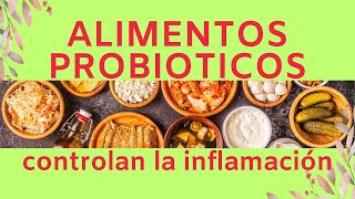 PROBIOTICOS CONTRA la INFLAMACIÓN [upl. by Myrtie]