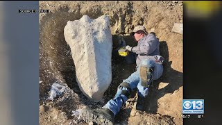 Fossils Discovered In Mokelumne River Watershed Near Valley Springs [upl. by Fairman]